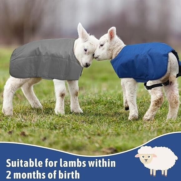 2 Pcs Goat Coats with Adjustable Belly Strap Goat Blankets Waterproof Windproof - Picture 6 of 7